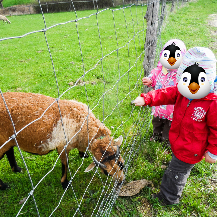 Ausflug zum Bauernhof