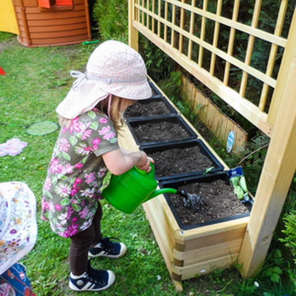 Fleißig giessen, damit etwas wächst